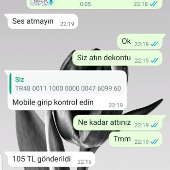 P*****a'ya Maillerim Ulaşmıyor Mu?