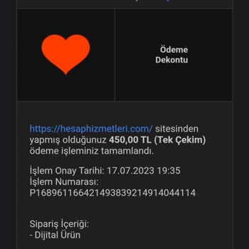 Hesaphizmetleri.com 450 TL Ye Hesap Aldım Giriş Yapamıyorum