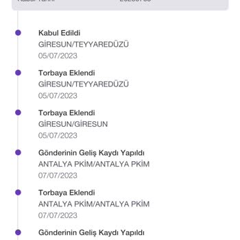 PTT Kargo PTT 10 Gündür Kargomu Şubede Neden Tutuyorsun?