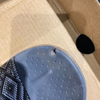 Skechers Sandaletin İlk Gününde Aşınma Olması Ve İlgisizlik