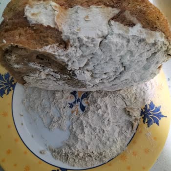 Tefal Pain Plaisir Ekmeği Pişirmiyor