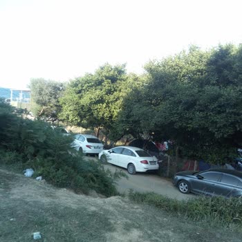 Şile Belediyesi Kilimli Köyü Kötü Durumda