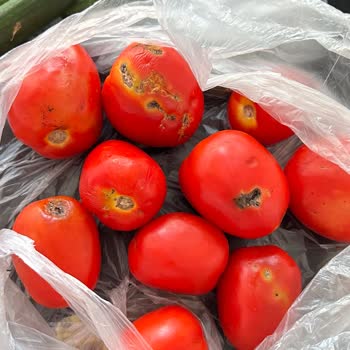 Trendyol Hızlı Market Bozuk Ve Kokmuş Ürün