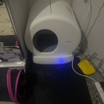 Epttavm Ubtech Otomatik Kedi Tuvaleti İle İlgili Sorunlar