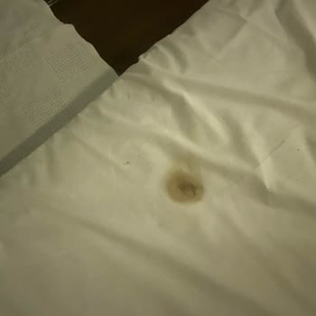 Halal Paradise Didim'e Giriş Deneyimi