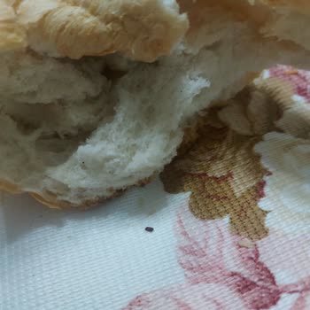 Barbaros Ekmek Fırını Ekmekten Böcek Çıktı