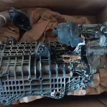 Dynobil - Yanlış Teşhis.