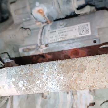 Dynobil - Yanlış Teşhis.