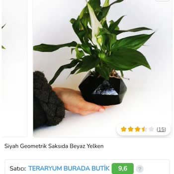 ÇiçekSepeti Çiçek Sepetinin Kötü Çiçeği