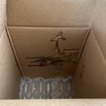 Gratis Online Sipariş Hasarlı Ürünler!