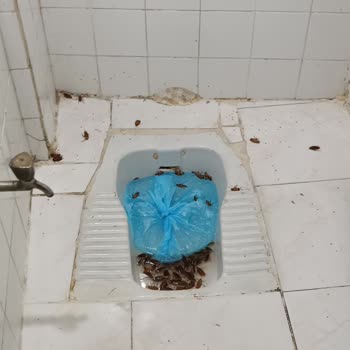 İzmir Büyükşehir Belediyesi Hamam Böceği Acil Çözüm Delirmek Üzereyiz