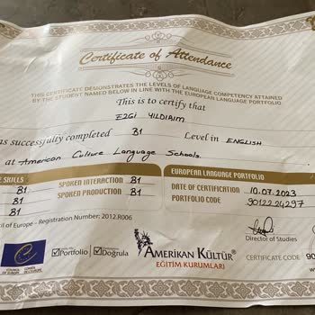 PTT Kargomun Yırtık Ve Hasarlı Gelmesi