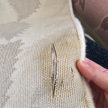 Bıcı Bıcı Halı Yıkama Halım Kesik Geldi