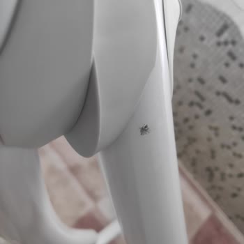 Koçtaş Arızalı Ve Defolu Ürün Gönderdi