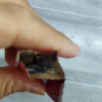 Tadelle Aldığım Paketin İçinin Yenmiş Çıkması