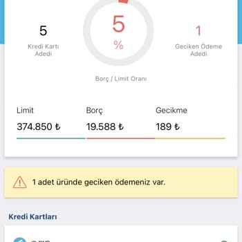 Findeks'te Gecikmede Olan Borcum Olduğu Gözüküyor