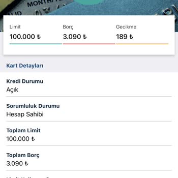 Findeks'te Gecikmede Olan Borcum Olduğu Gözüküyor