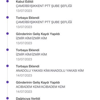 PTT Kargo Dağıtım Problemi / Şubenin İlgisizliği