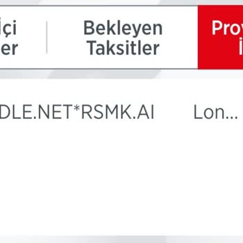 Paddle.net Haksız Yere Paramı Çekti