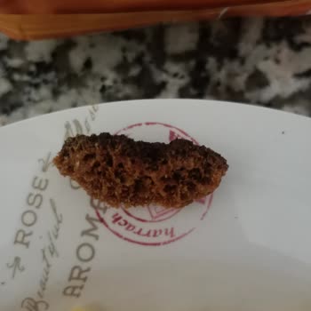 Lays Cipsin İçinden Çıkan Değişik Madde