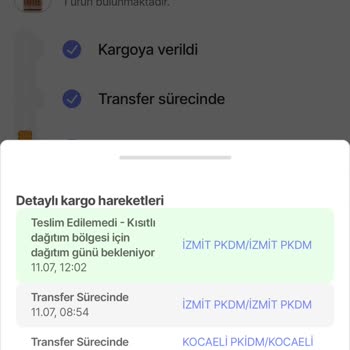PTT Kargo Teslim Edilmemesi Hakkında