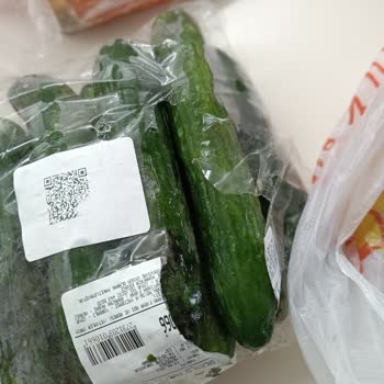 Bosch Marka Buzdolabı Arızası