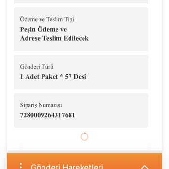 MNG Kargo Adrese Teslimat Yapmıyor