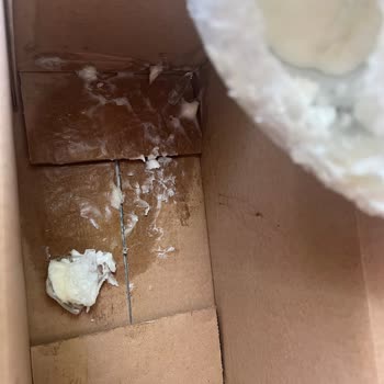 Procsin Ürünün Kırık Gelmesi
