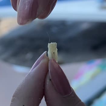 Lays Fırında Cipsin İçinden Kıl Çıktı