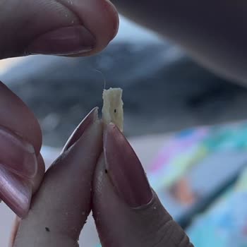 Lays Fırında Cipsin İçinden Kıl Çıktı