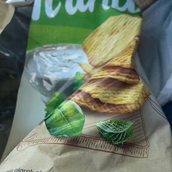 Lays Fırında Cipsin İçinden Kıl Çıktı