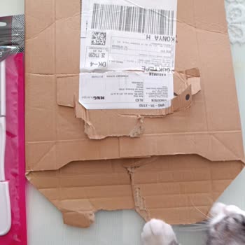 Amazon Topuk Törpüsü Kırık Geldi
