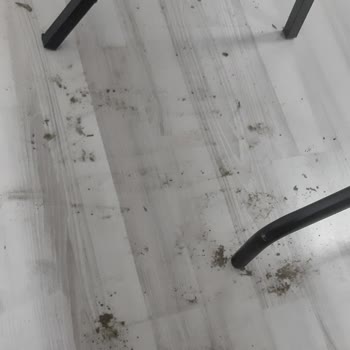 İSMEK Barbaros Şubesi Temizlik Problemi