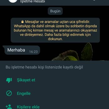 WhatsApp'da Endonezya Ülke Kodlu Nolardan Mesajlar