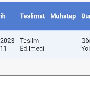 Sürat Kargo Teslimatta Sorun Muhatap Olmaması