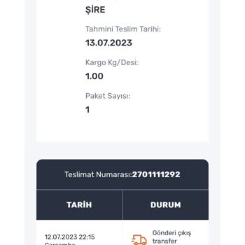 Aras Kargo Ürünü Teslim Etmemesi