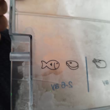 Vestel Buzdolabı Derin Dondurucu Kapağının Tırnağı Kırıldı