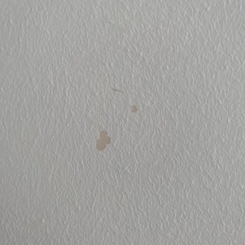 Polisan Silinebilir Denen Boya Silinmiyor Ve Duvardan Kalkıyor Resmen