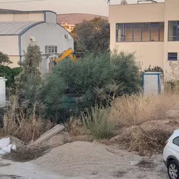 Bodrum Belediyesi İnşaat Yasağı Bitmiyor