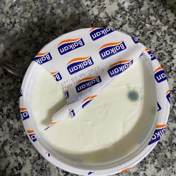 Balkan Süt Ürünleri Balkan Yoğurt Küflenmesi