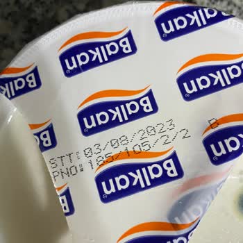 Balkan Süt Ürünleri Balkan Yoğurt Küflenmesi