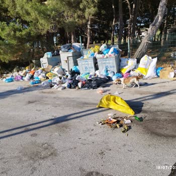 Çanakkale Belediyesi Mahallenin Çöplüğü Tüm Mahalle Sakinlerinin Duyarlı Olması