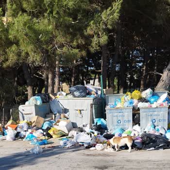 Çanakkale Belediyesi Mahallenin Çöplüğü Tüm Mahalle Sakinlerinin Duyarlı Olması