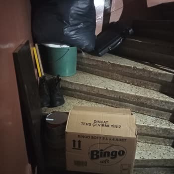 Bayrampaşa Belediyesi Bina İçerisinde Bulunan Çöpler Ve Başıboş Gezen Kediler