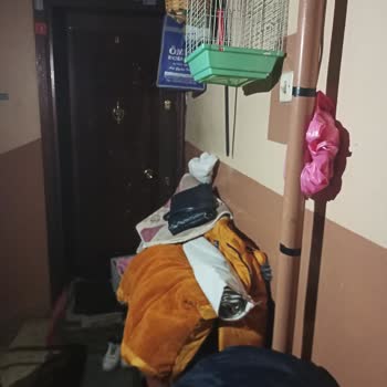 Bayrampaşa Belediyesi Bina İçerisinde Bulunan Çöpler Ve Başıboş Gezen Kediler