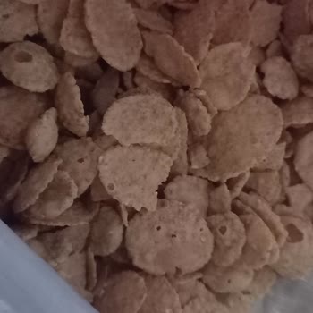 Kellogg's Bitter Çikolatalı Tam Buğday Gevreklerde Sorun