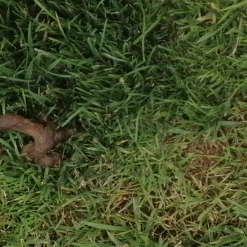 Marmara Site & Bina Yönetimi Şikayet