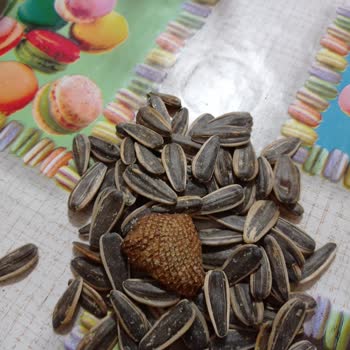 Çerezya Markalı Çekirdek