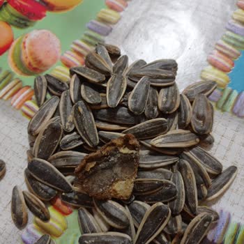 Çerezya Markalı Çekirdek