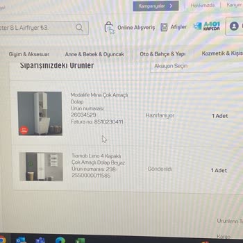 A101 Ve Sürat Kargo Mağduriyeti, Kayıp Siparişim